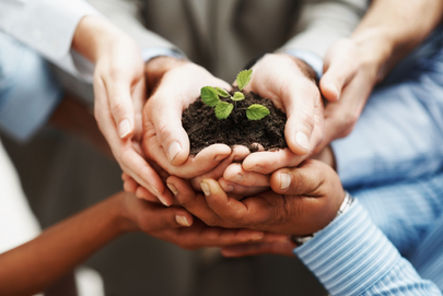 Helping Hands Photo